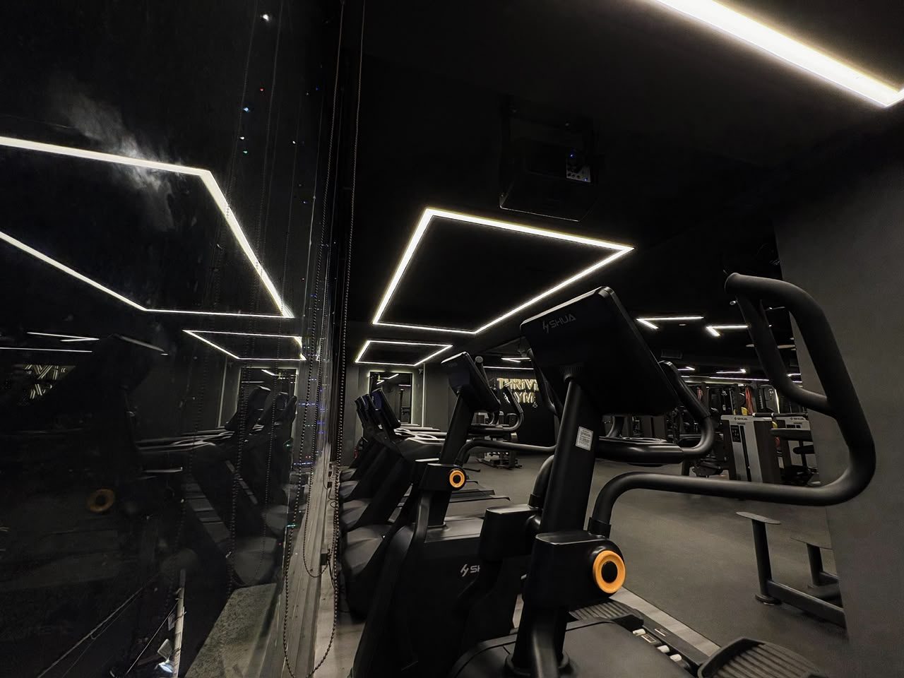 Cardio & neon — Dwarka