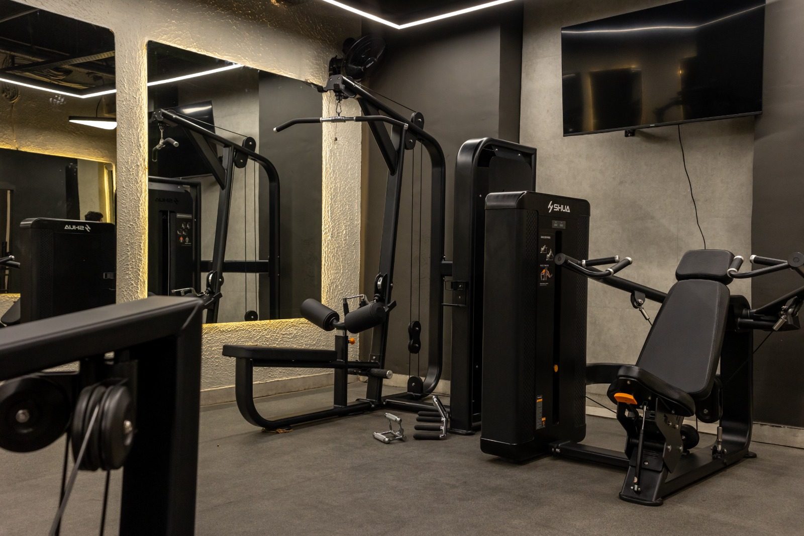 Thrive Gym pin-loaded SHUA machines