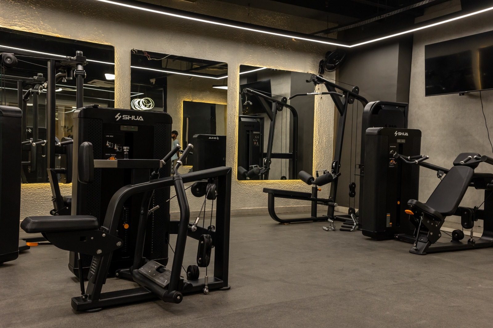Treadmills by the window — Gurugram